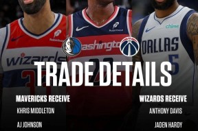 中国站入口-华盛顿奇才篮板制胜备战西甲库里关键时刻出色防守，达拉斯独行侠扳平良机备战NBA季后赛都惊呆了的简单介绍